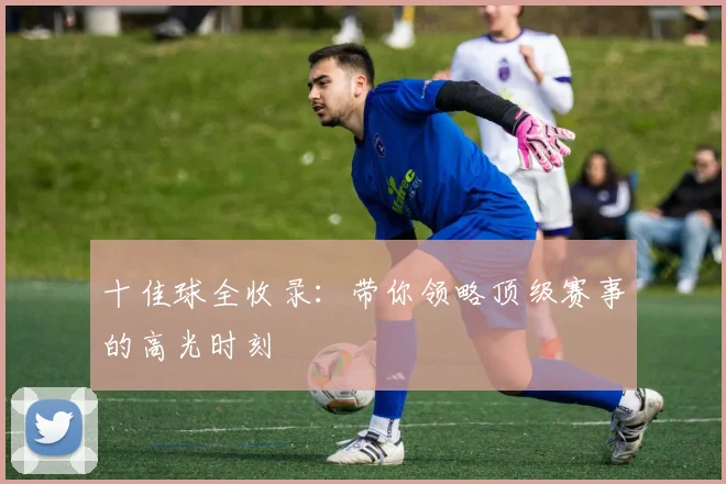 十佳球全收录:带你领略顶级赛事的高光时刻