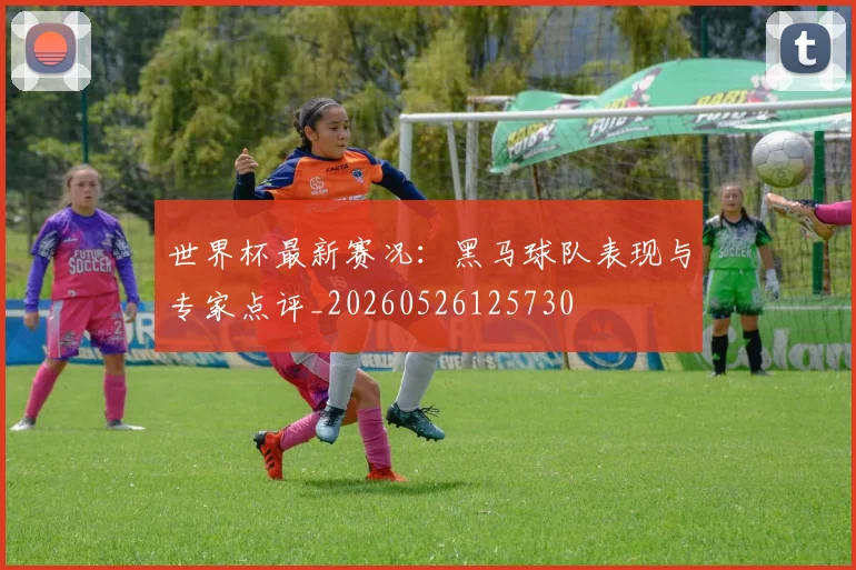 世界杯最新赛况：黑马球队表现与专家点评_20260526125730